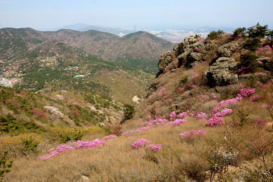 시약산 & 구덕산