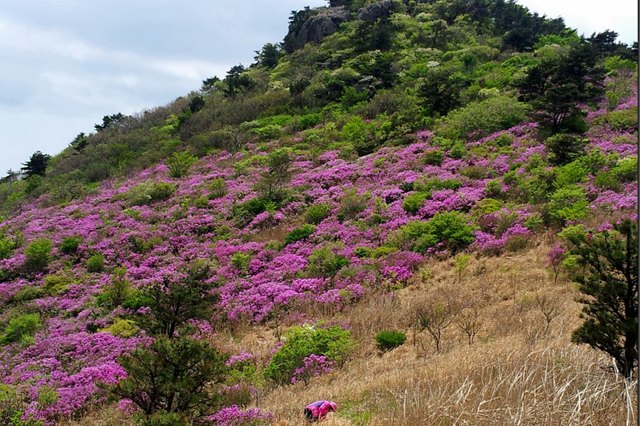 시약산 & 구덕산