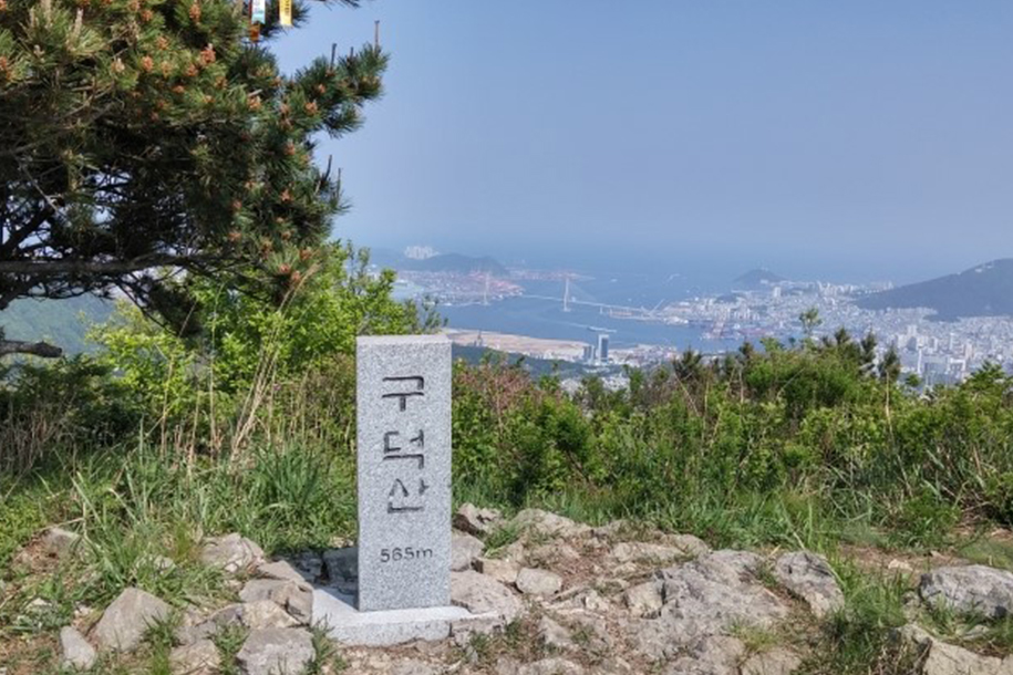 시약산 & 구덕산