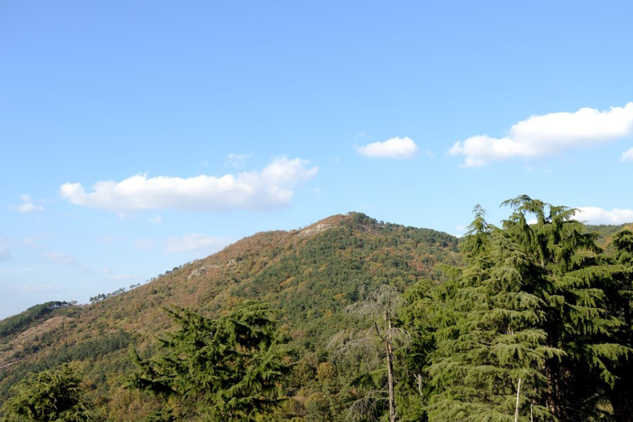 시약산 & 구덕산