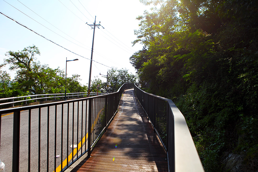 4. 천마산 하늘산책로(Cheonmasan Mt. Sky Trail)
