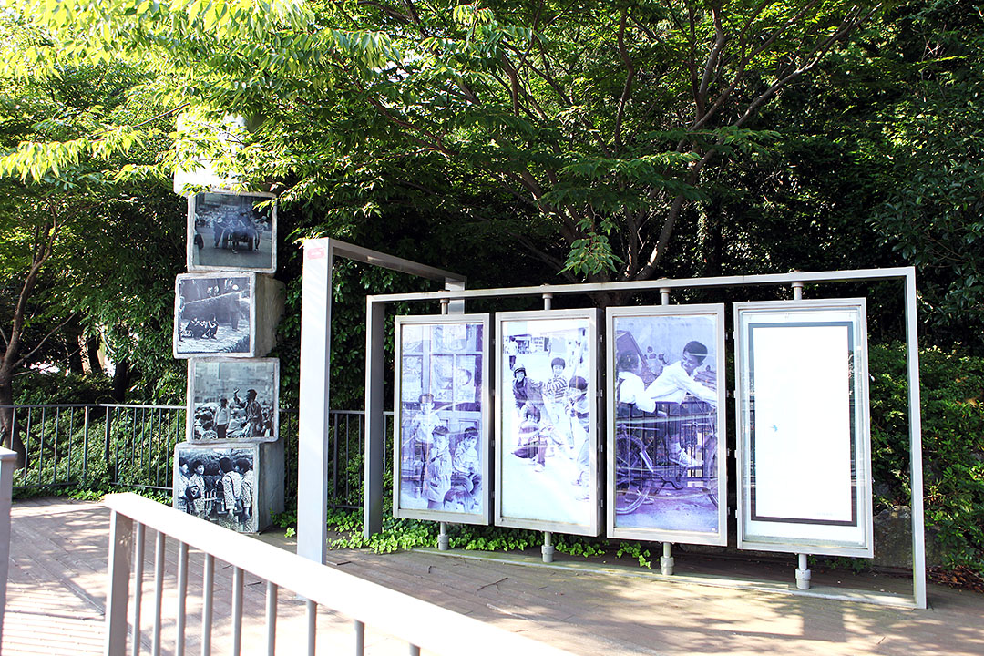 4. 천마산 하늘산책로(Cheonmasan Mt. Sky Trail)
