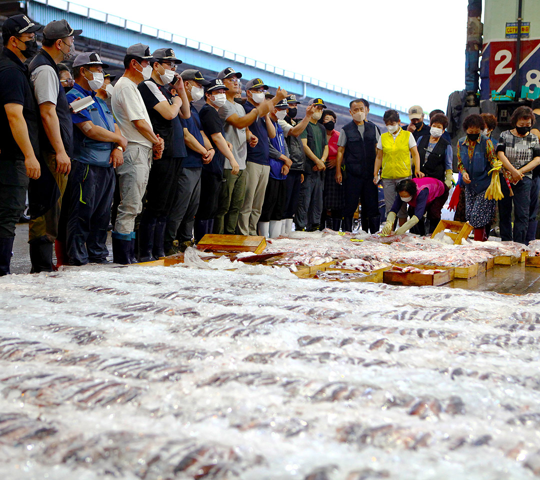 23. 부산공동어시장(Busan Cooperative Fish Market)
