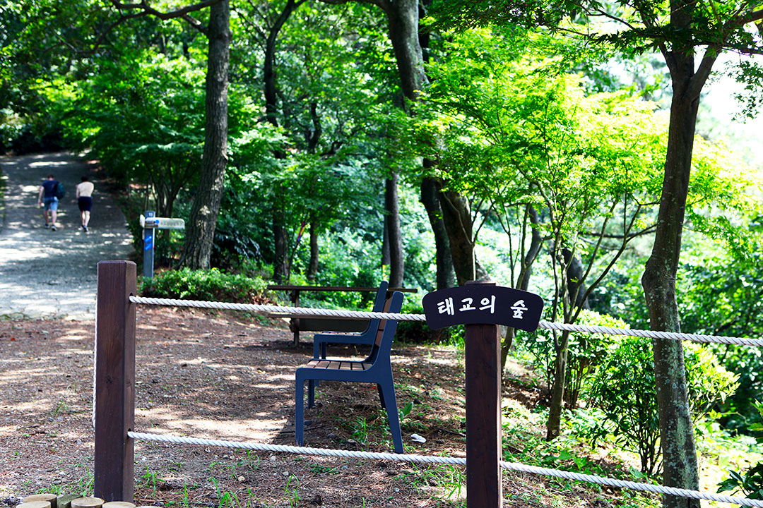 24. 암남공원(Amnam Park)