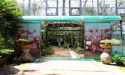 8. 구덕문화공원(Gudeok Culture Park)